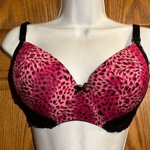 38E Bra - Essential Bodywear